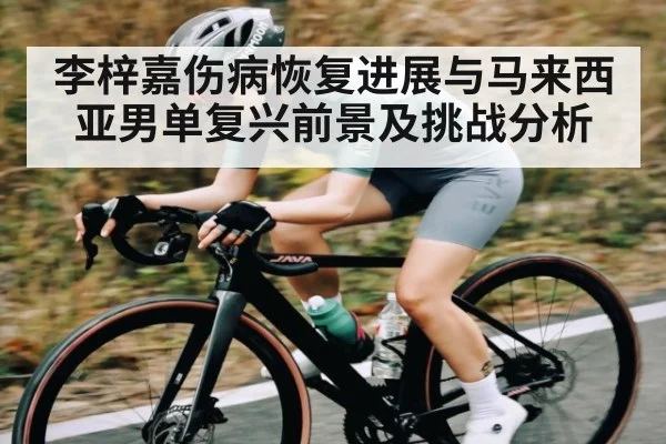 李梓嘉伤病恢复进展与马来西亚男单复兴前景及挑战分析